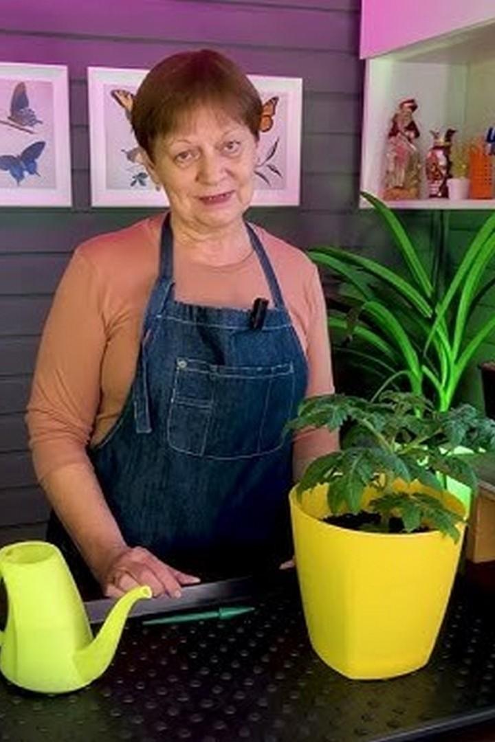 Про домашний огород (pro-domashnij-ogorod) Досуг, хобби