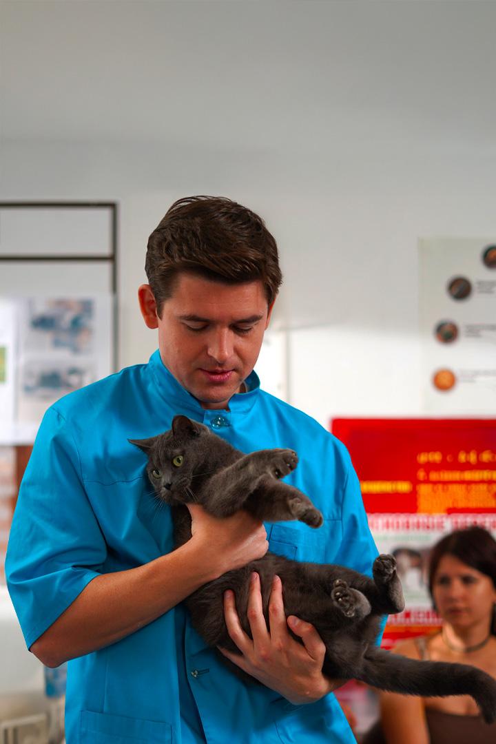 Мои звери-4 (moi-zveri-4) Фильм 2025