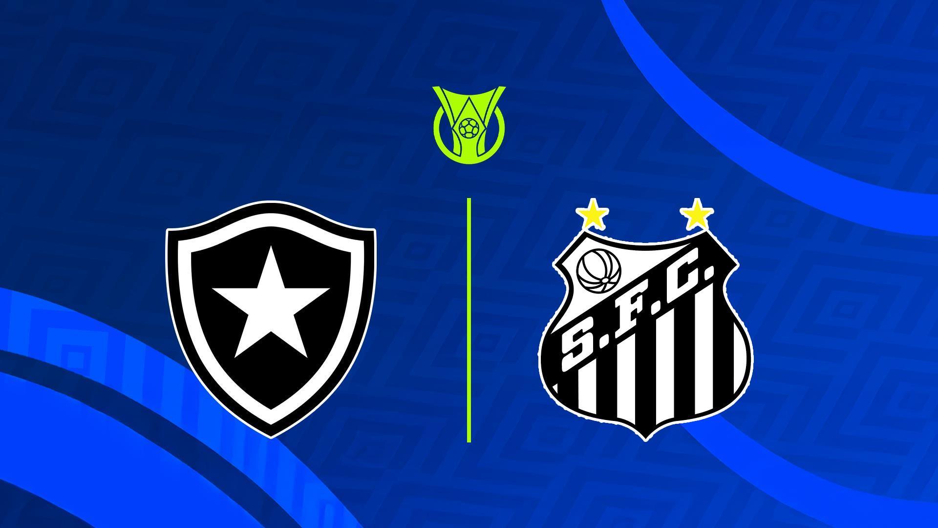 Чемпионат Бразилии. «Ботафого» - «Сантос» (chempionat-brazilii-botafogo-santos) Спорт