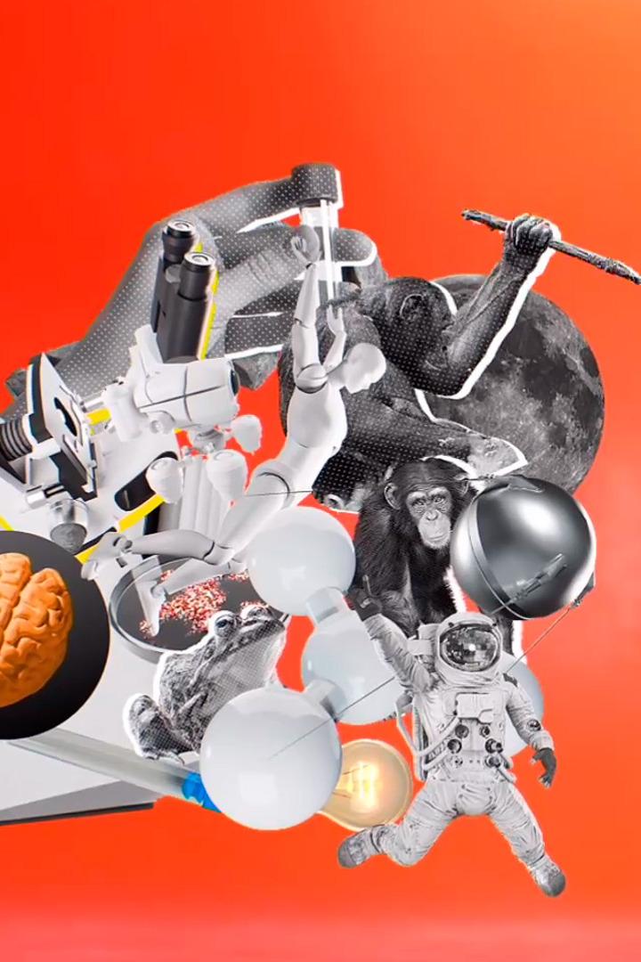 100 вопросов обо всём (100-voprosov-obo-vsem) Досуг, хобби