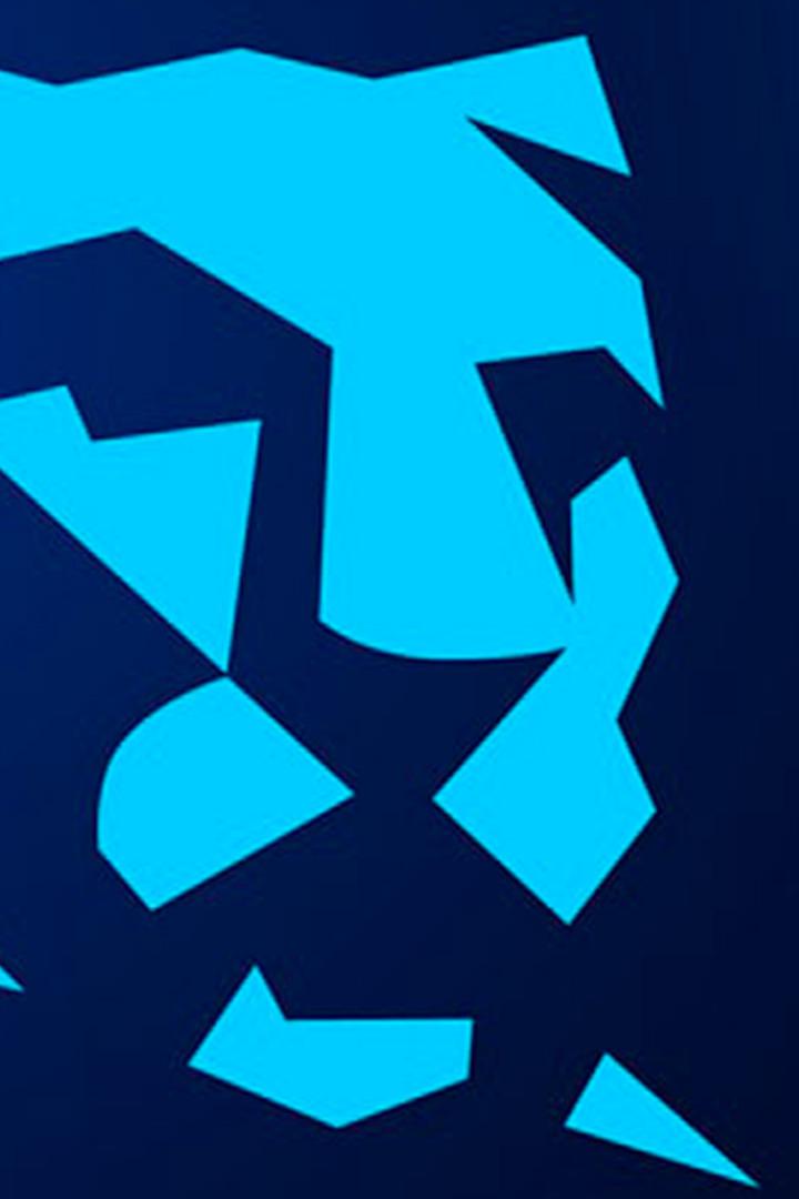 Blauer Panther TV & Streaming Award 2025 (blauer-panther-tv-streaming-award-2025) ТВ-шоу