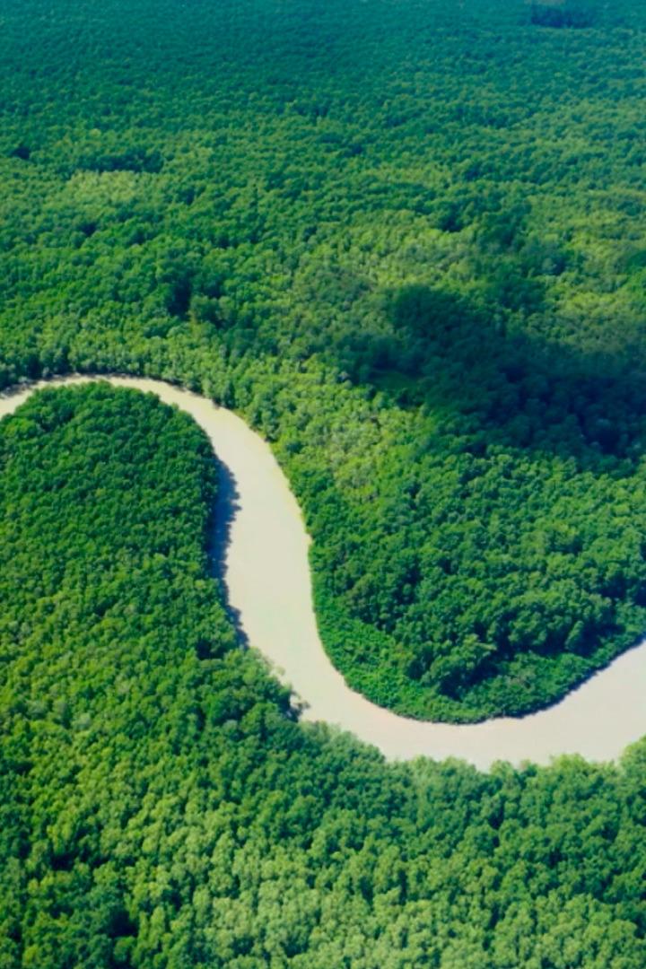 Сады чистой воды (sady-chistoj-vody) Документальный сериал