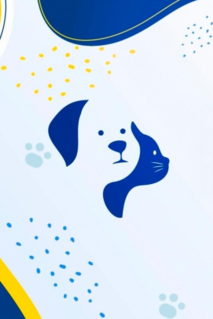 Povestea din ochii lor (povestea-din-ochii-lor) Документальный фильм