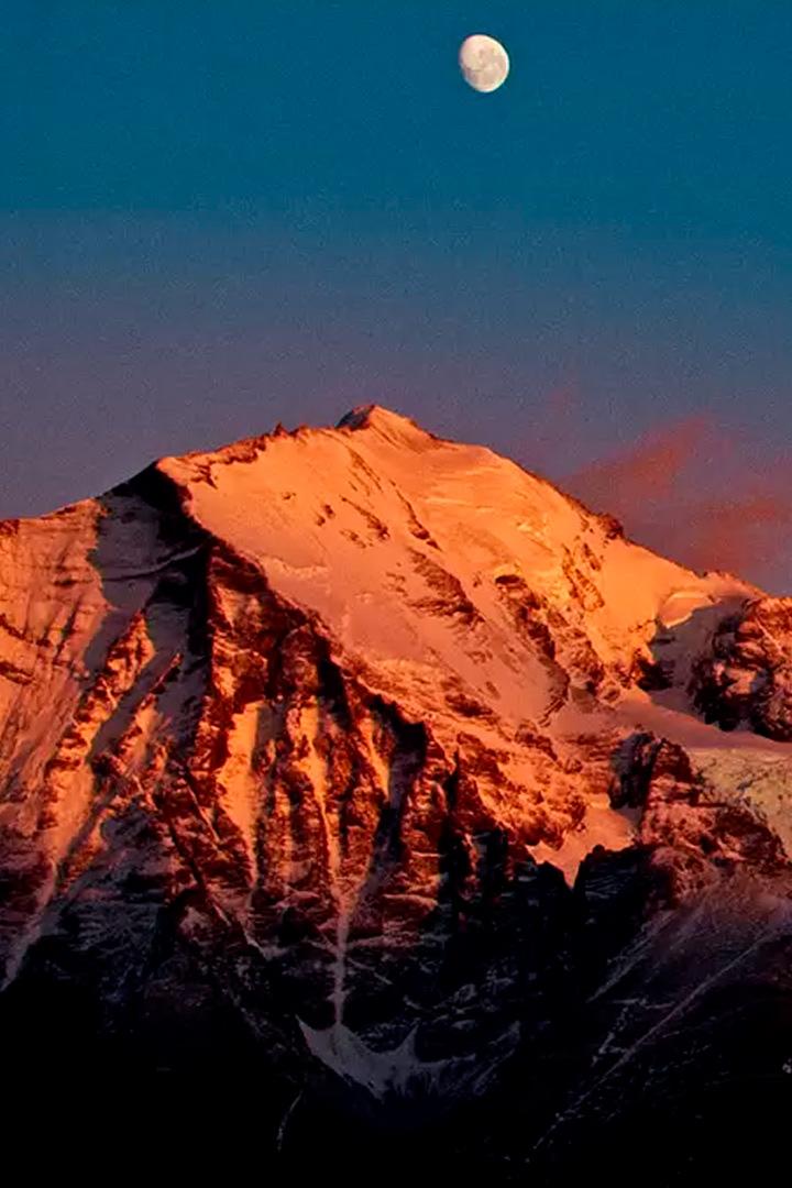 Дикая природа Чили (dikaja-priroda-chili) Документальный фильм