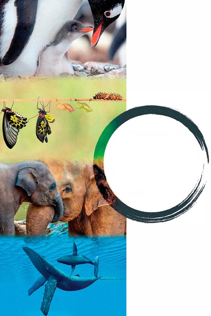 Моменты жизни (momenty-zhizni) Познавательное