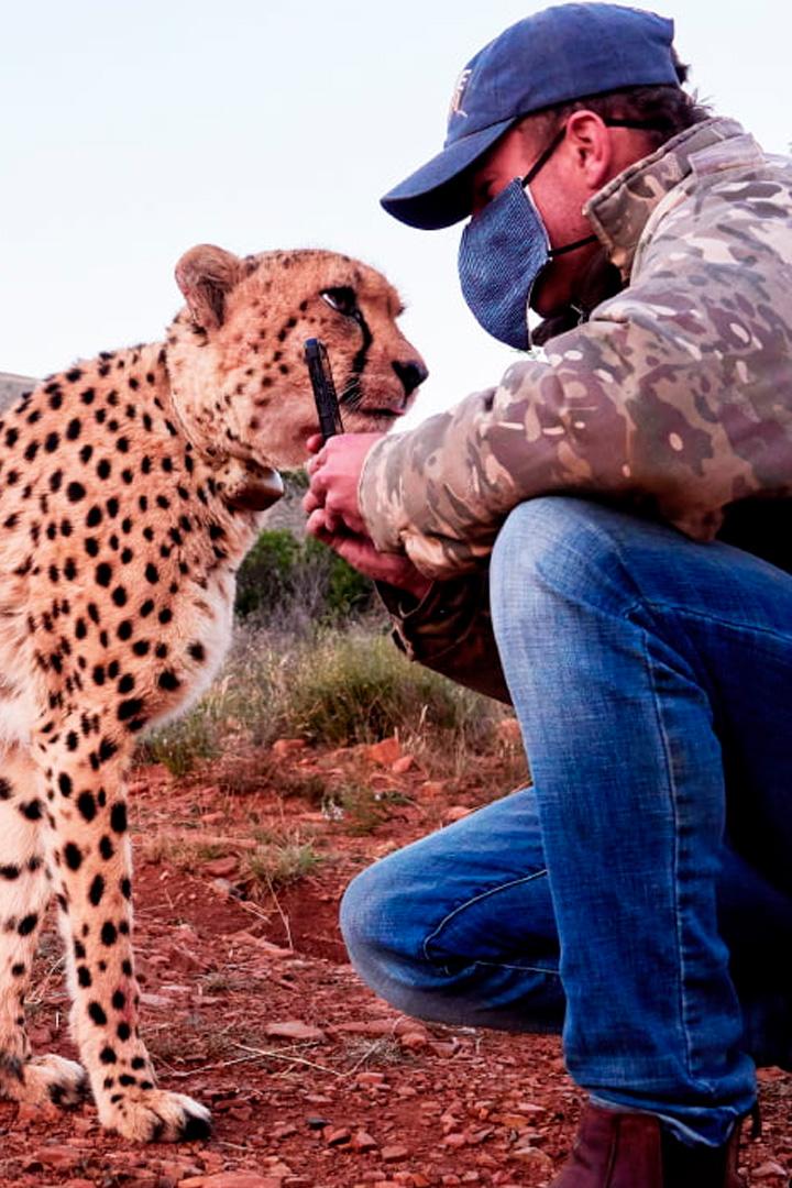 Во имя спасения дикой природы (vo-imja-spasenija-dikoj-prirody) Документальный сериал
