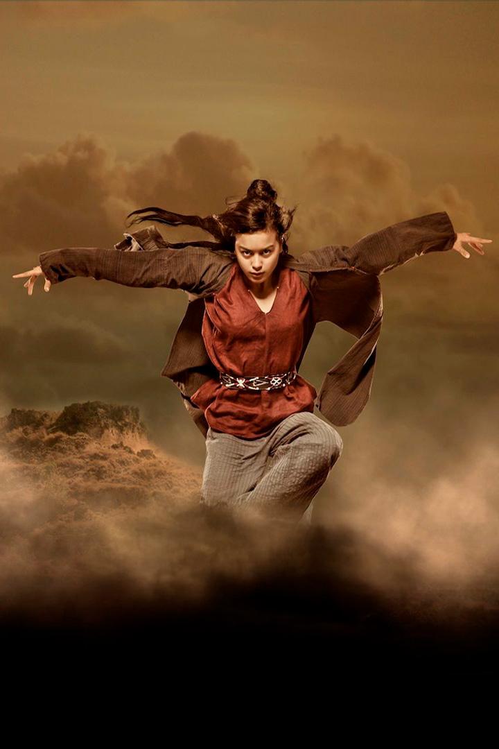 Воин с золотым шестом (voin-s-zolotym-shestom) Фильм 2014