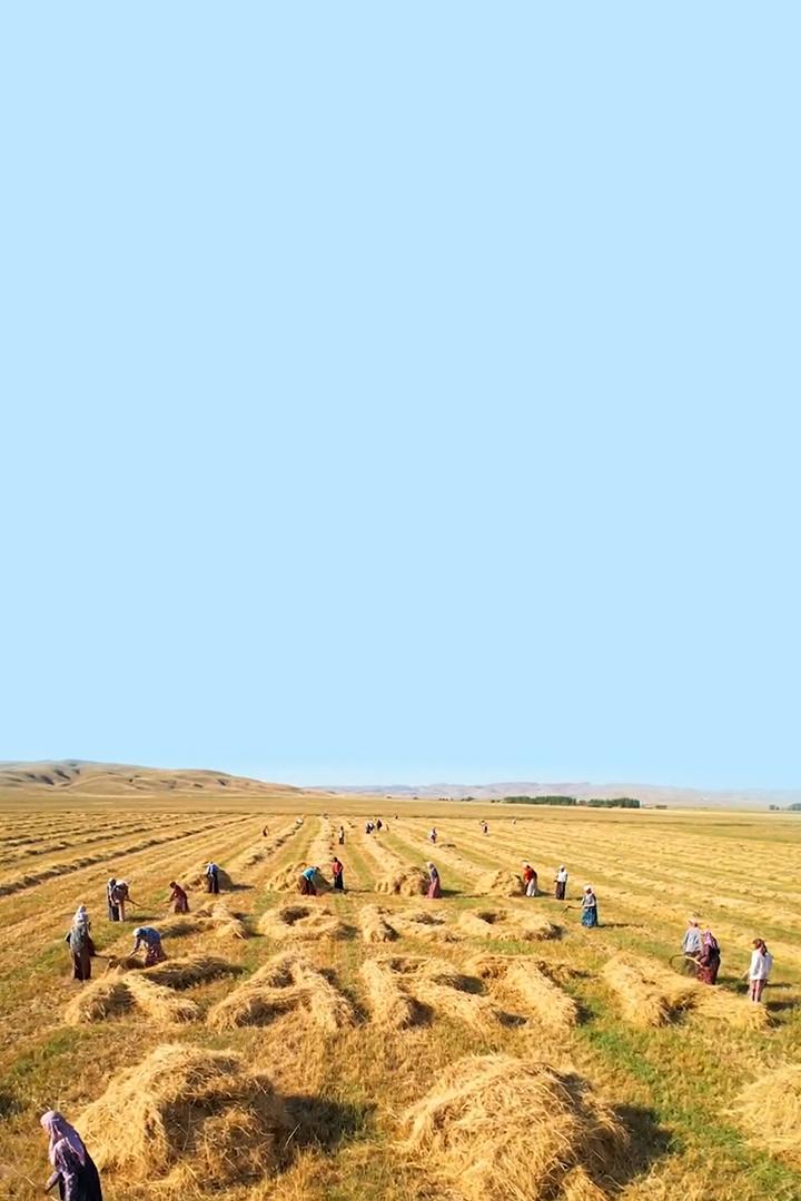 Агрокарта (agrokarta) Досуг, хобби