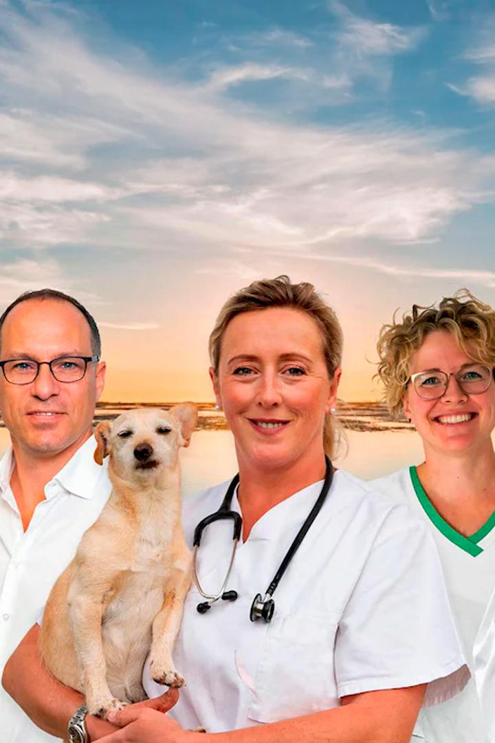 Die Tierärzte - Retter mit Herz (die-tierrzte-retter-mit-herz) Познавательное