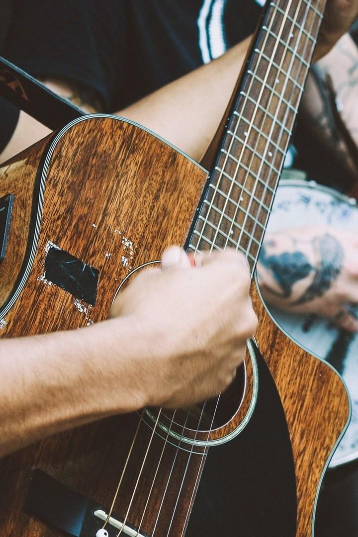 Wild Life by The Catholics (wild-life-by-the-catholics) Музыка