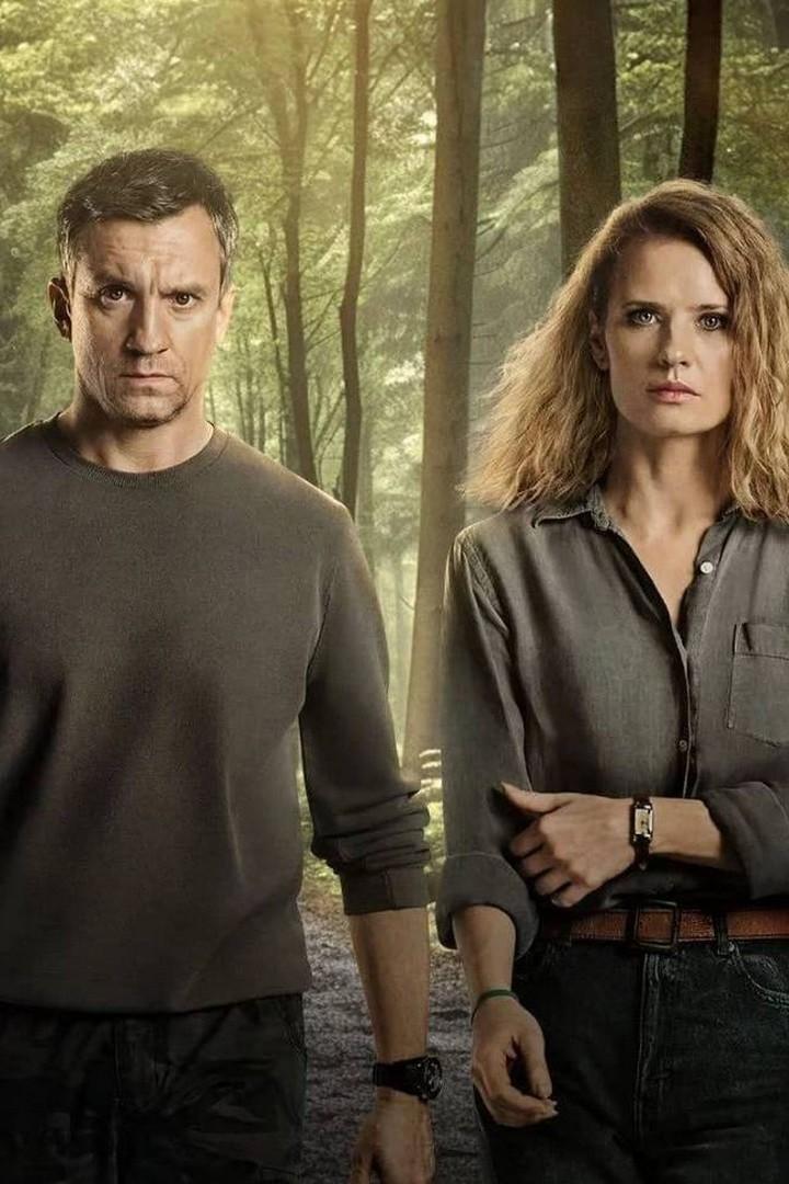 Профайлер (profajler) Сериал 2024