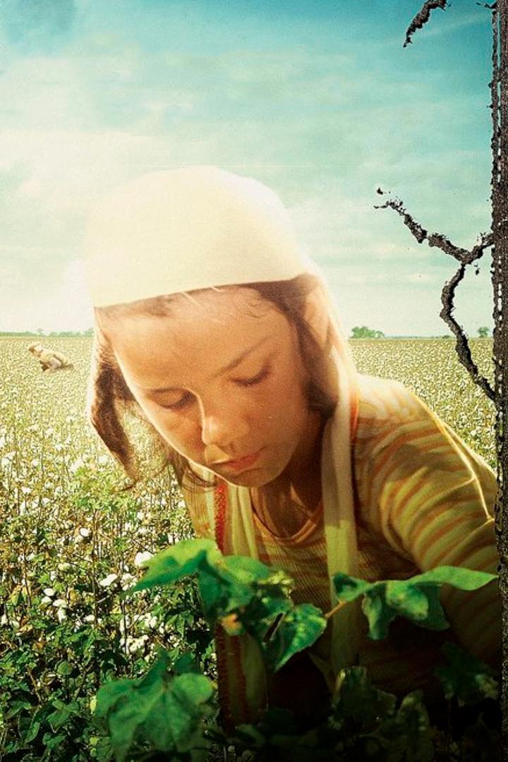 Плодородные земли (plodorodnye-zemli) Фильм 1980