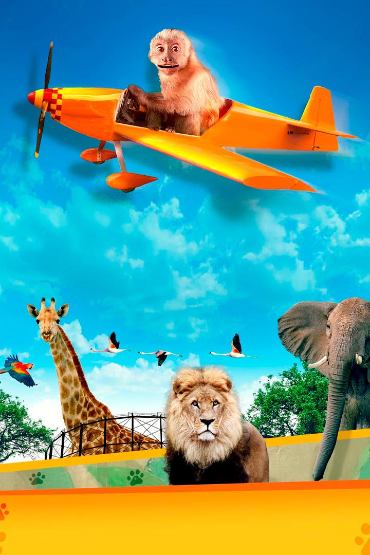 Побег из зоопарка (pobeg-iz-zooparka) Фильм 2024