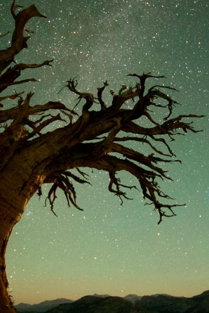 Amerikas Naturwunder (amerikas-naturwunder) Документальный сериал