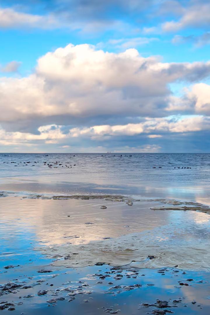 Die nordstory (die-nordstory) Документальный сериал