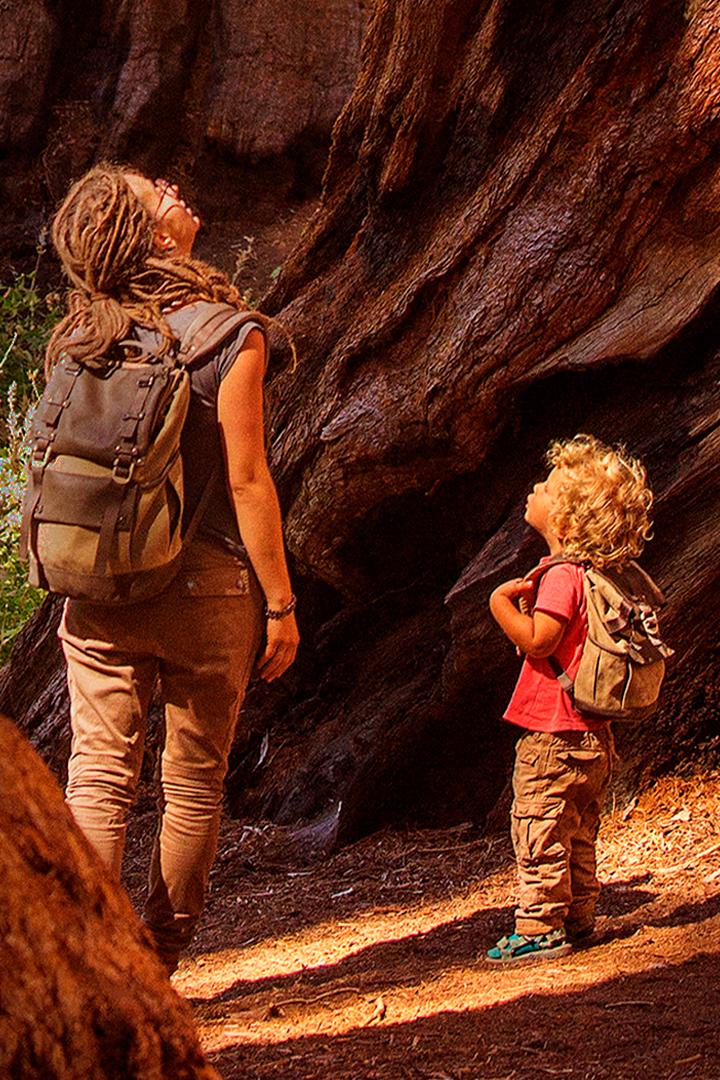 Зелёные животные (zelenye-zhivotnye) Документальный сериал