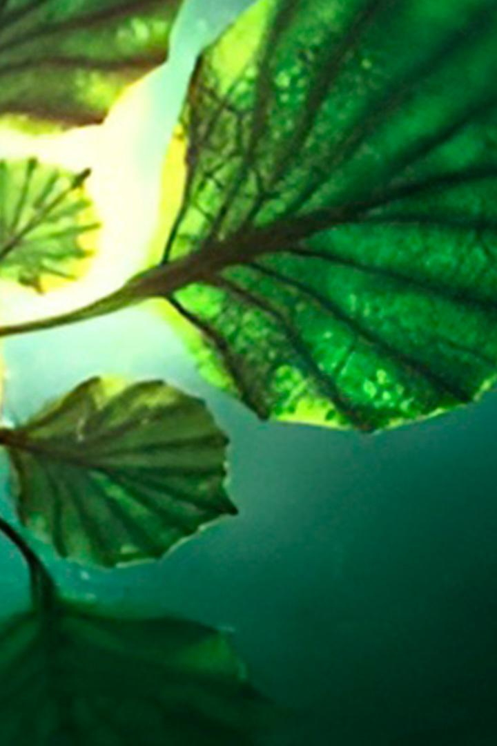 Aliens: Sind wir allein im Universum? (aliens-sind-wir-allein-im-universum) Документальный фильм