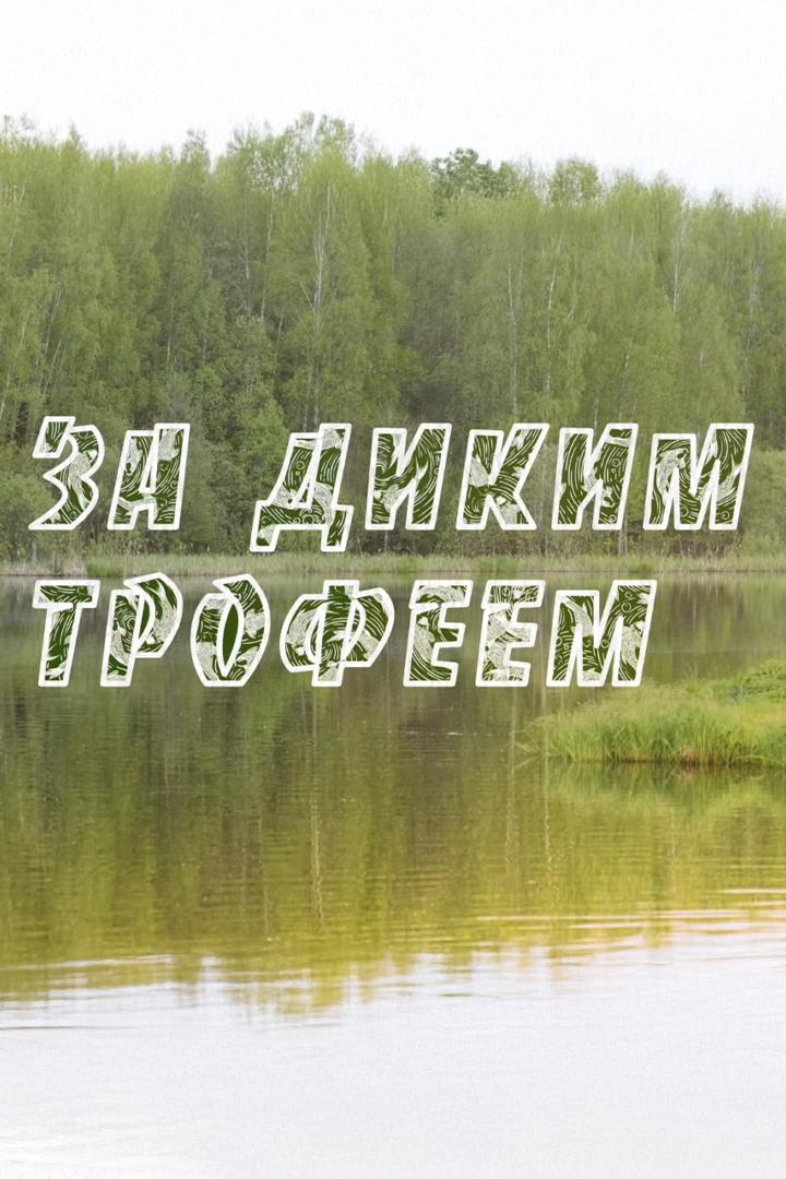 За диким трофеем (za-dikim-trofeem) Досуг, хобби