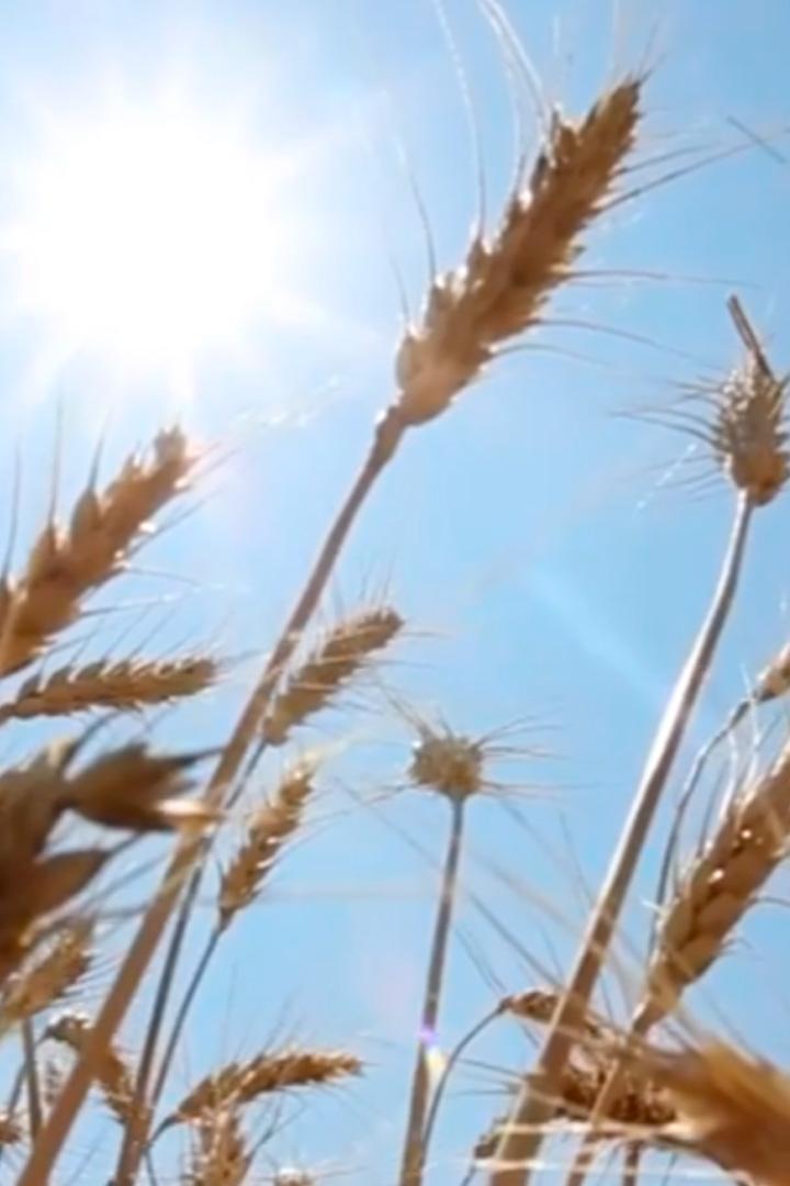 Интерцентр Люкс (intertsentr-ljuks) Документальный фильм