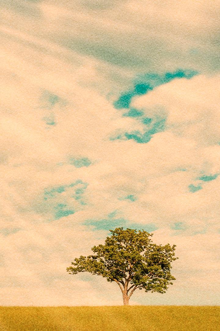 Эдем на Земле (edem-na-zemle) Документальный сериал