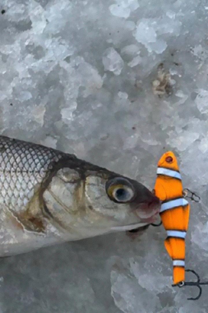 Та самая волшебная лунка (ta-samaja-volshebnaja-lunka) Познавательное