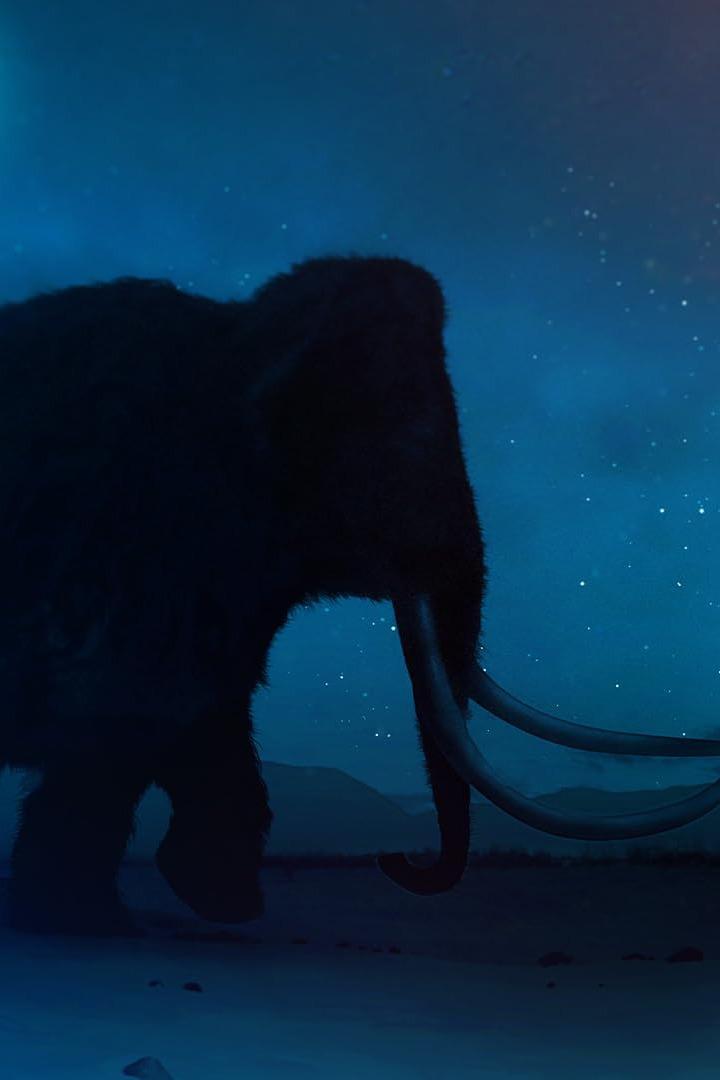 Беспокойная планета (bespokojnaja-planeta) Документальный сериал