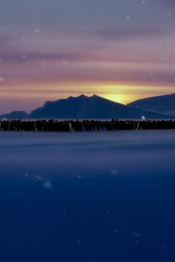 Обитатели снегов (obitateli-snegov) Документальный фильм