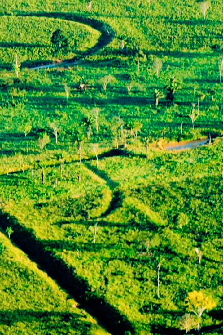 Затерянные города Амазония (zaterjannye-goroda-amazonija) Документальный фильм