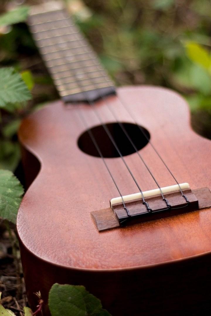 Ноябрьские посиделки (nojabrskie-posidelki) Музыка