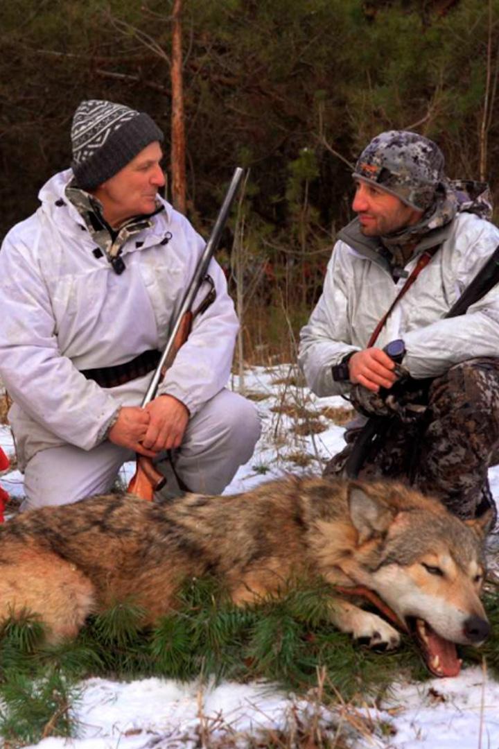 На волка псковским нагоном (na-volka-pskovskim-nagonom) Документальный фильм