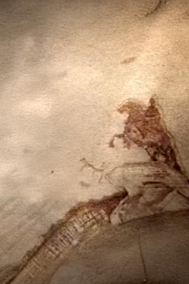 Пешком в историю Зимний (peshkom-v-istoriju-zimnij) Познавательное