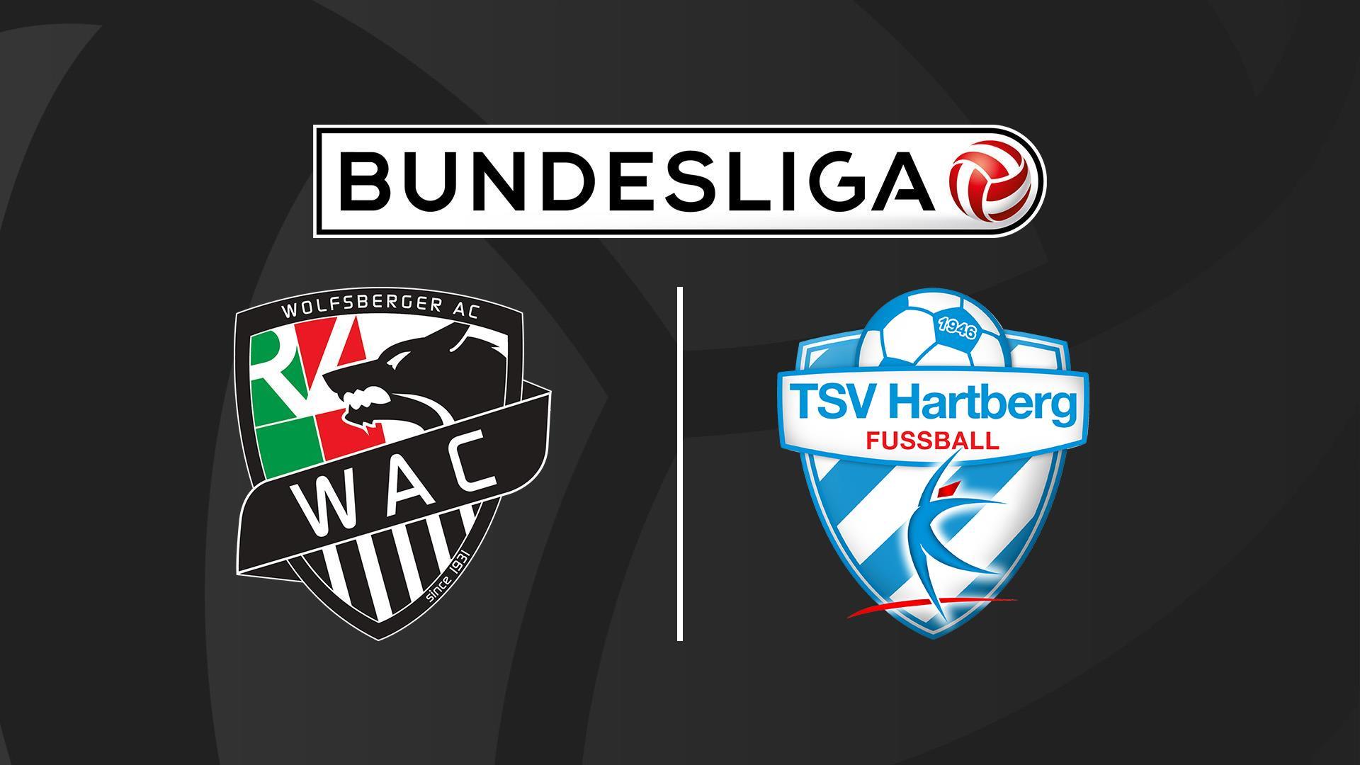 Футбол. Австрийская Бундеслига. Вольфсбергер - Хартберг (futbol-avstrijskaja-bundesliga-volfsberger-hartberg) Спорт