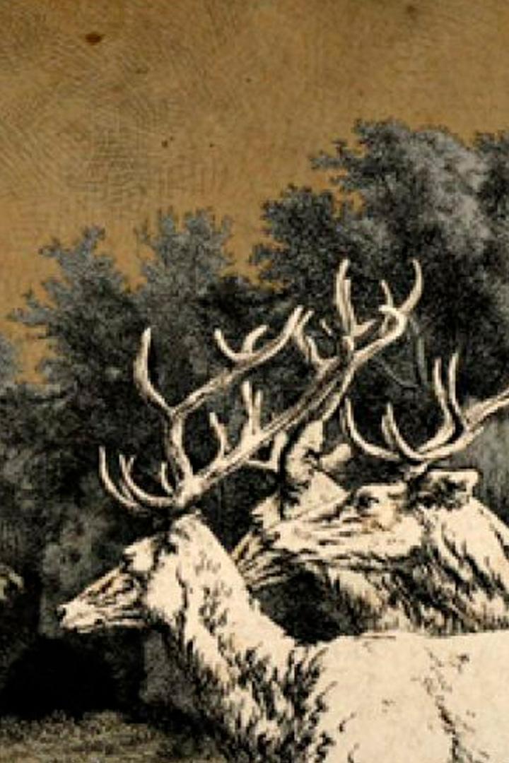 Я кричал против жизни... или за неё (ja-krichal-protiv-zhizni-ili-za-nee) Мультфильм 2009