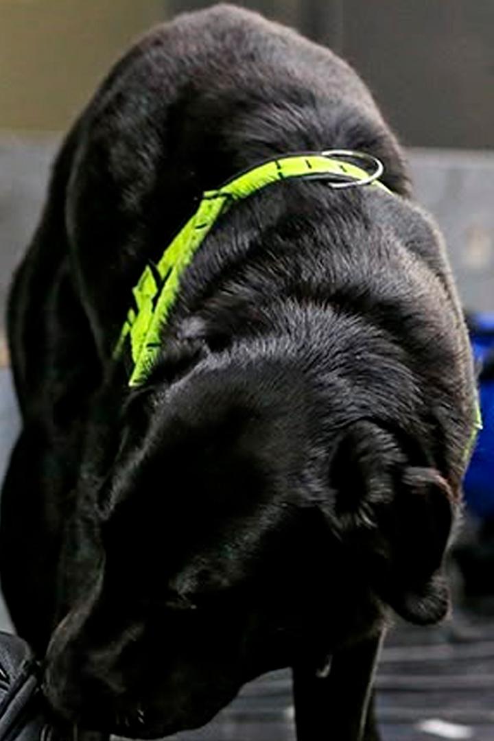 Stop, Search, Seize (stop-search-seize) Документальный сериал