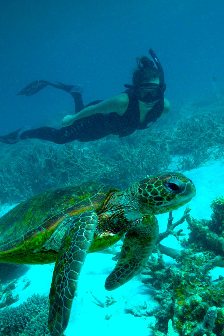 Глубины Австралии (glubiny-avstralii) Познавательное