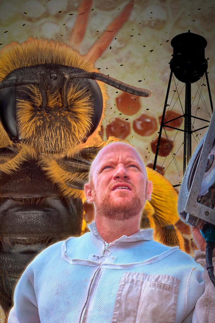 Компания «Чарли Би» (kompanija-charli-bi) Реалити-шоу