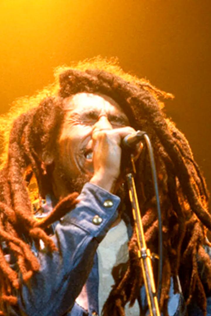 Bob Marley and The Wailers (bob-marley-and-the-wailers) Документальный фильм