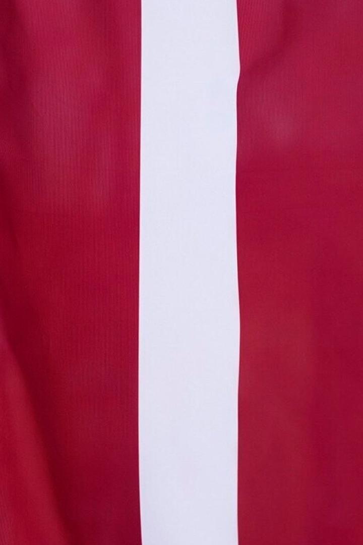 Latvijas Republikas proklamēšanas 107. gadadiena. Saeimas svinīgā sēde (latvijas-republikas-proklamanas-107-gadadiena-saeimas-sving-sde) Познавательное