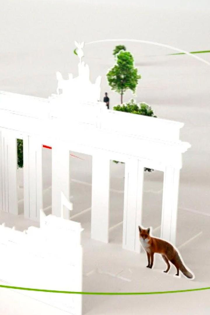 Heimatjournal (heimatjournal) Другое