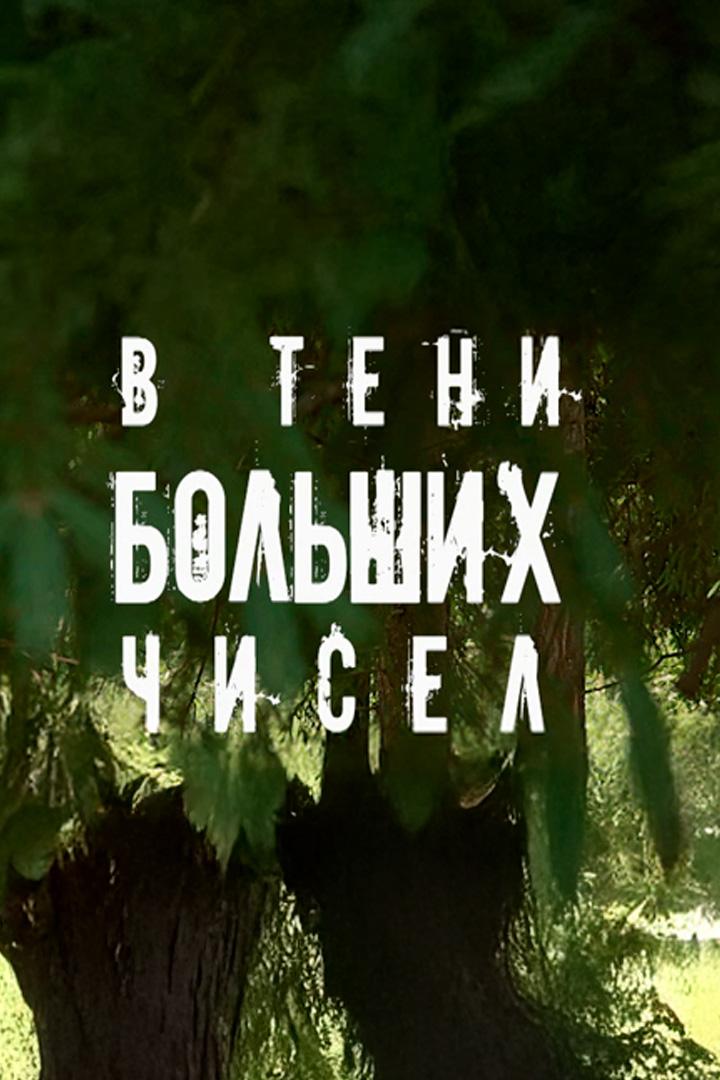 В тени больших чисел. Знаки (v-teni-bolshih-chisel-znaki) Фильм 2025