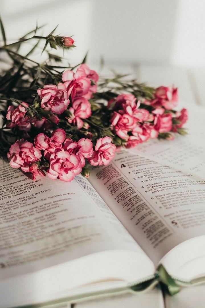 Офисные фениксы (ofisnye-feniksy) Досуг, хобби