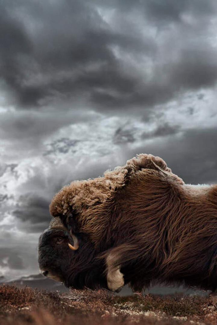 Nežabotas dangus (neabotas-dangus) Документальный сериал