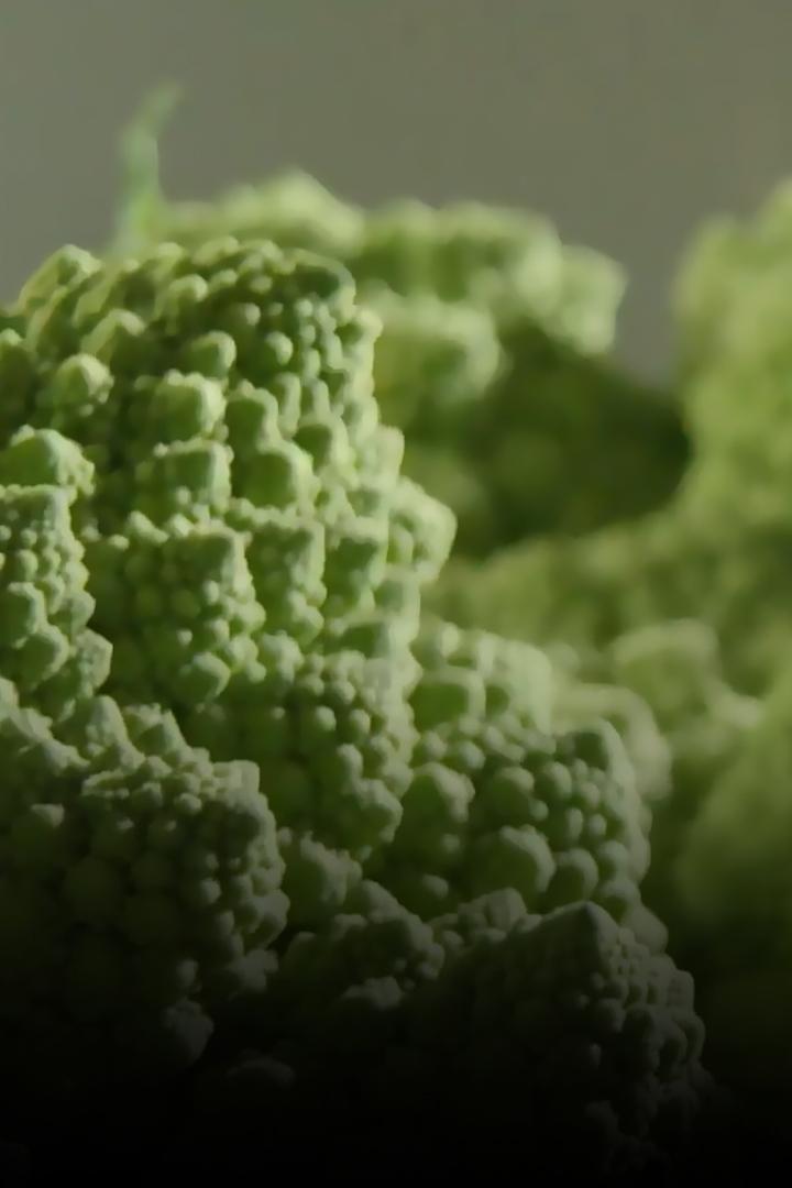 Bil Bakalim (bil-bakalim) Познавательное