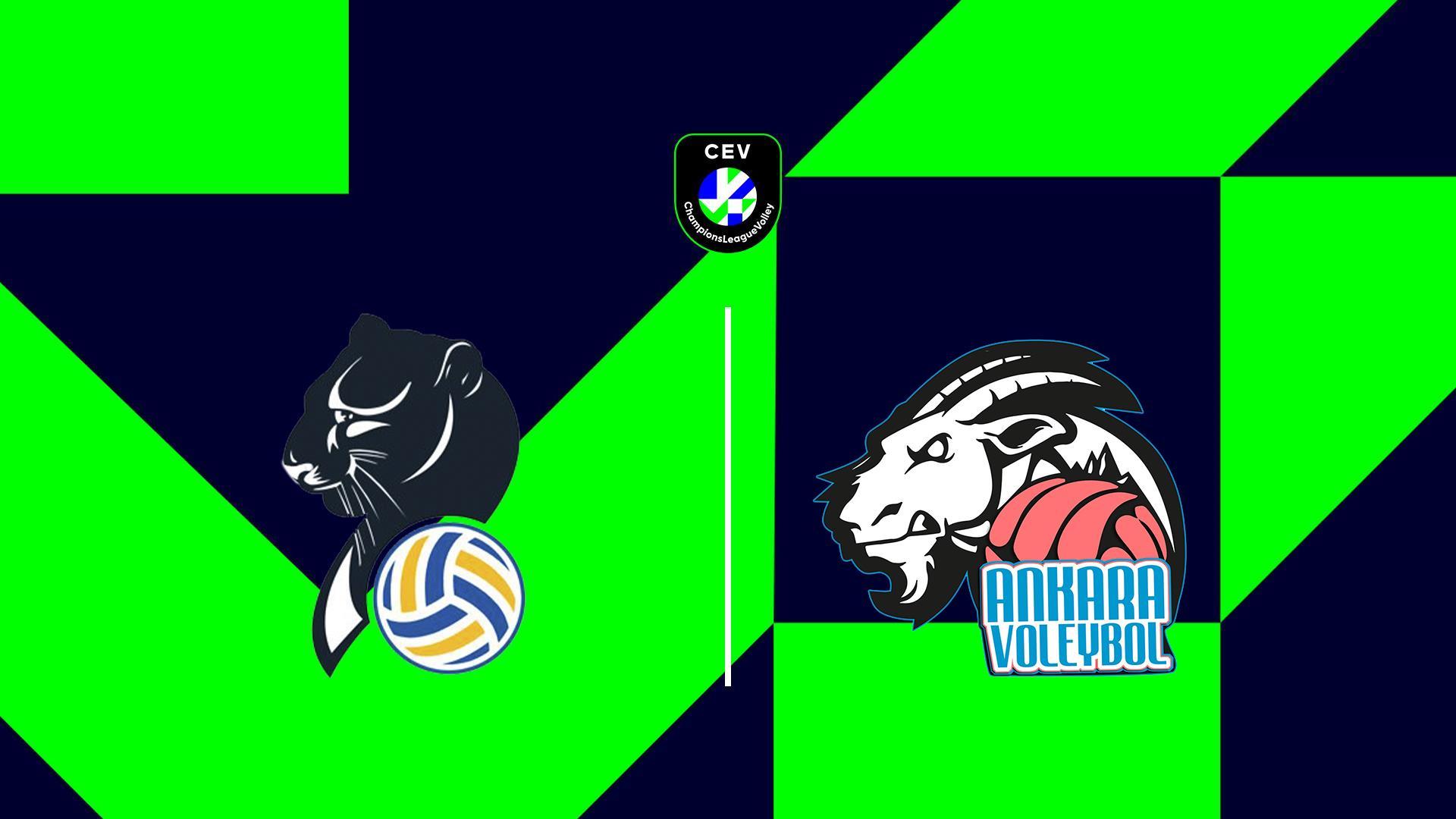 Волейбол. Лига чемпионов. Женщины. «Конельяно» (Италия) - «Анкара» (Турция) (volejbol-liga-chempionov-zhenschiny-koneljano-italija-ankara-turtsija) Спорт