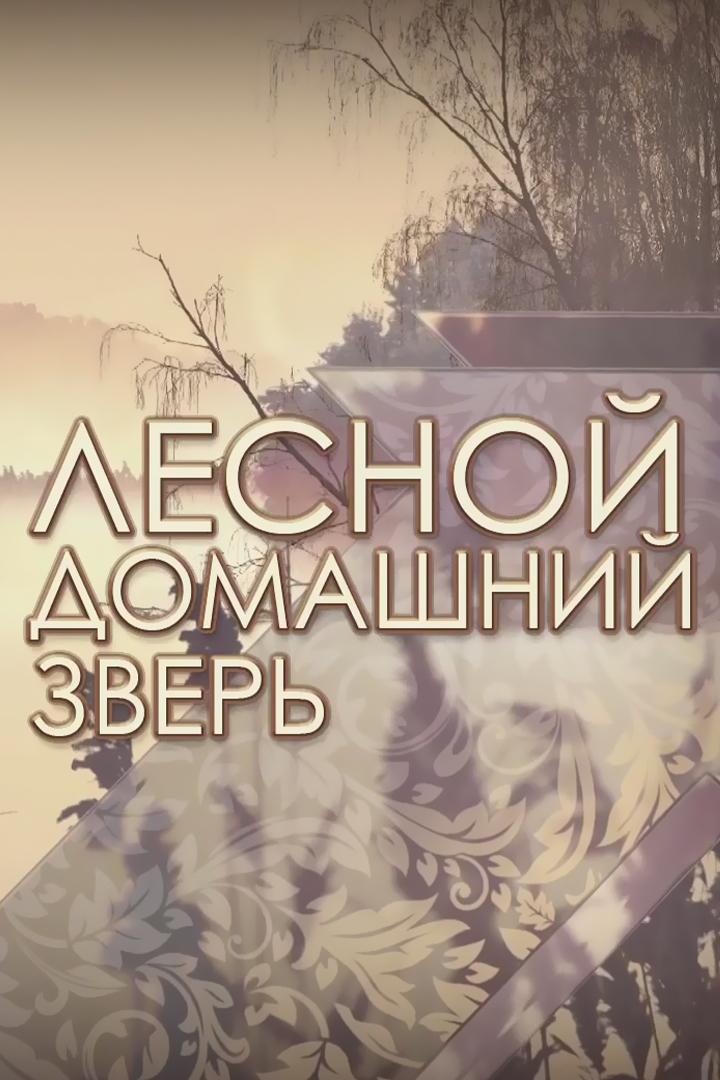 Лесной домашний зверь (lesnoj-domashnij-zver) Познавательное