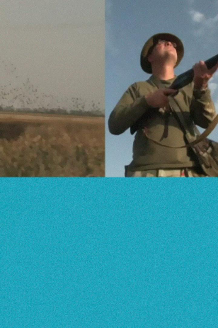 Сезон охоты (sezon-ohoty) Досуг, хобби