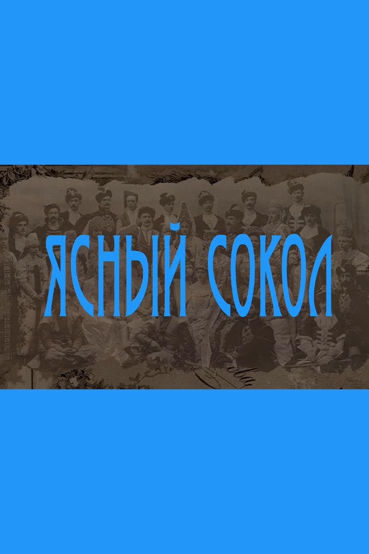 Ясный сокол. Пёрышко финиста ясного сокола (jasnyj-sokol-peryshko-finista-jasnogo-sokola) Мультфильм 2012