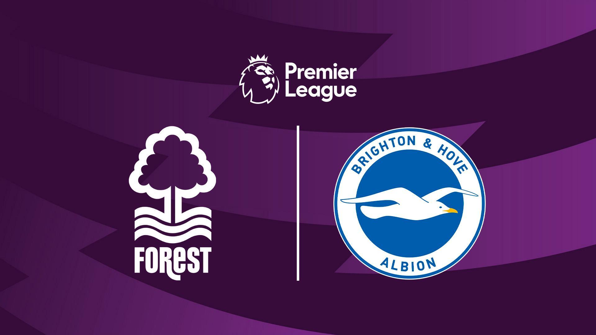 Футбол. АПЛ, 13 тур, Ноттингем-Брайтон (futbol-apl-13-tur-nottingem-brajton) Спорт