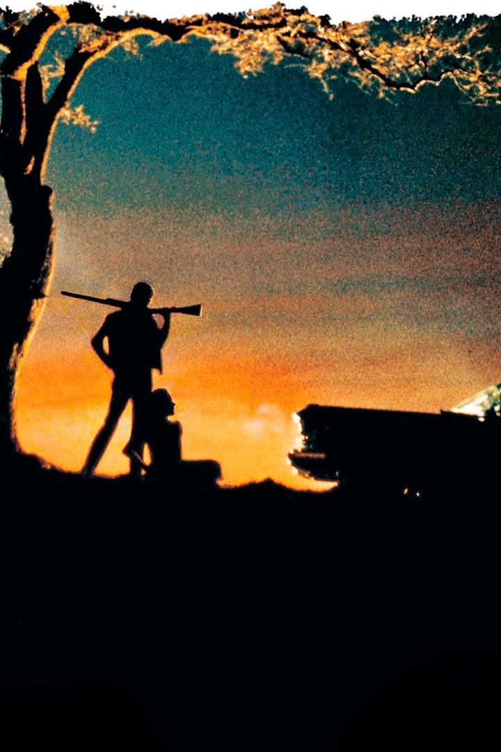 Пустоши (pustoshi) Фильм 1973