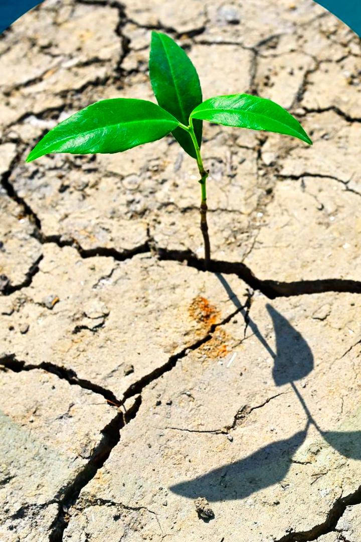 Planet e (planet-e) Познавательное